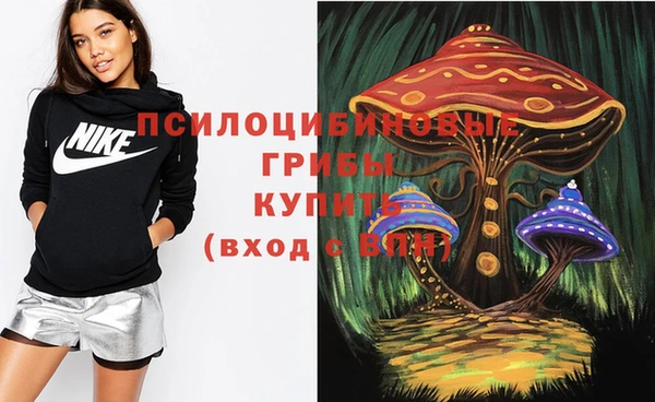 МДПВ Дмитров