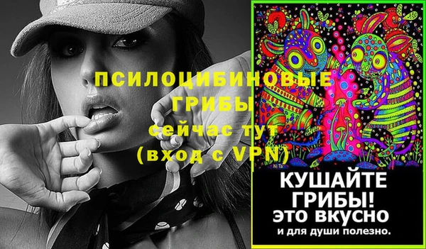 МДПВ Дмитров
