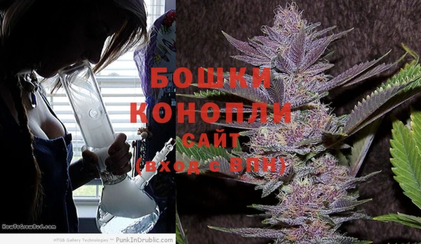 МДПВ Дмитров