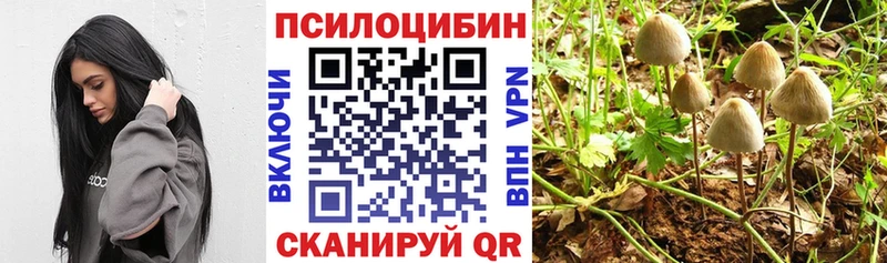Псилоцибиновые грибы прущие грибы  Купить где  Пудож 